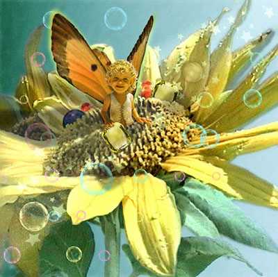 Sunflower by Tom Cross Pricing Limited Edition Print image