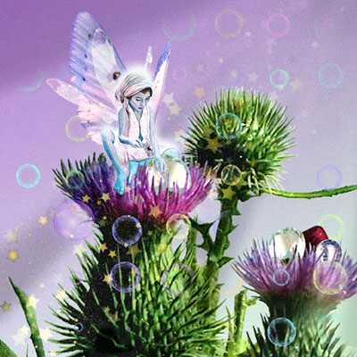 Thistle Fai by Tom Cross Pricing Limited Edition Print image