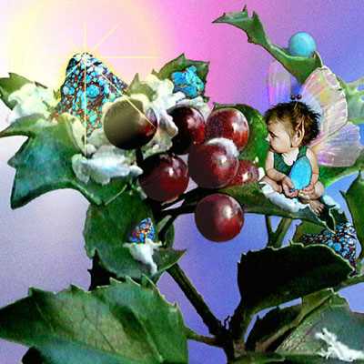 Holly Fairy by Tom Cross Pricing Limited Edition Print image