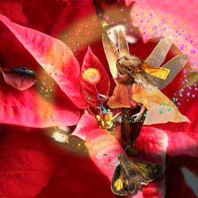 Poinsettia by Tom Cross Pricing Limited Edition Print image