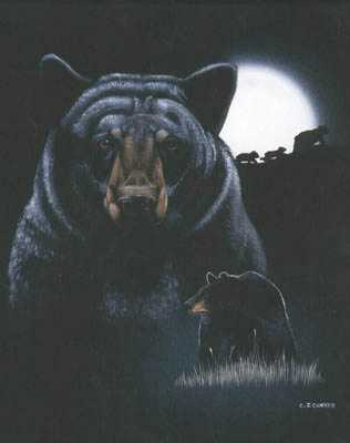 Nightlife Black Bear by C J Conner Pricing Limited Edition Print image