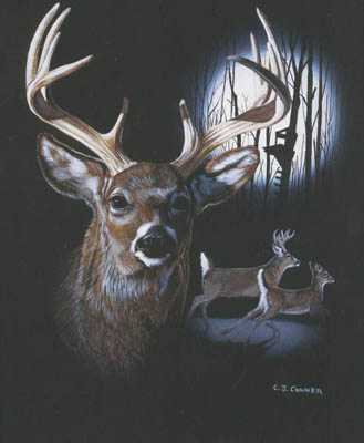 Nightlife Deer by C J Conner Pricing Limited Edition Print image
