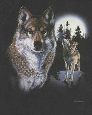 Nightlife Wolf by C J Conner Pricing Limited Edition Print image