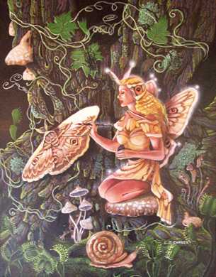 Moth Fairy by C J Conner Pricing Limited Edition Print image