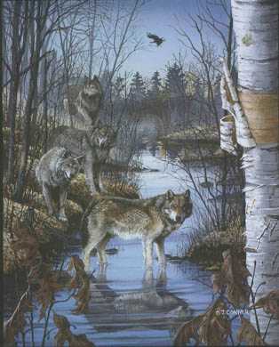 Woodland Wolves by C J Conner Pricing Limited Edition Print image