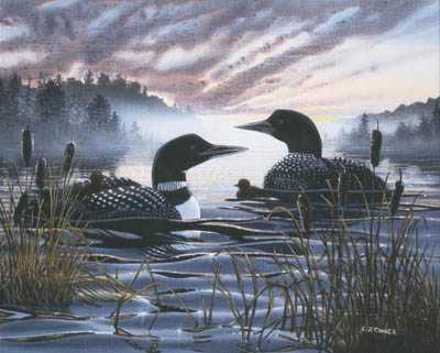 Morn Mist Loons by C J Conner Pricing Limited Edition Print image