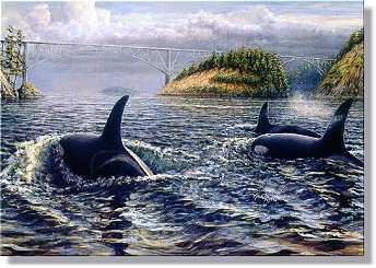 Orcas Deception Pass by Ed Newbold Pricing Limited Edition Print image
