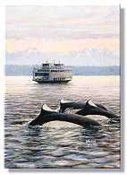 Dall Porpoise by Ed Newbold Pricing Limited Edition Print image