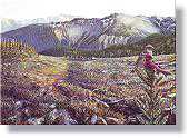 High Country Crossblls by Ed Newbold Pricing Limited Edition Print image