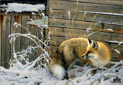 Shed Door Fox by Nancy Glazier Pricing Limited Edition Print image
