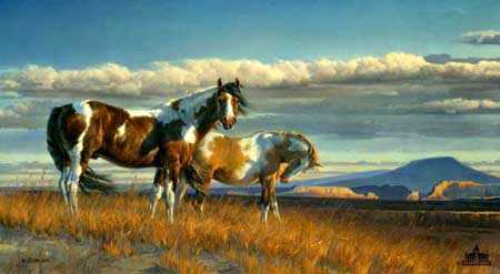 Painted Desert by Nancy Glazier Pricing Limited Edition Print image