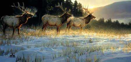 Elk Ridge by Nancy Glazier Pricing Limited Edition Print image