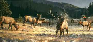 Rocky Mtn Meadow by Nancy Glazier Pricing Limited Edition Print image