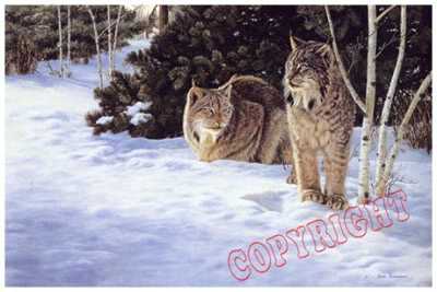 Lynx Together by Joan Sharrock Pricing Limited Edition Print image