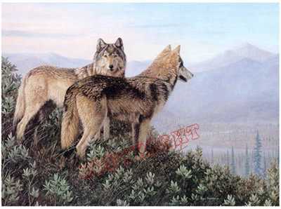 Watching Wolves by Joan Sharrock Pricing Limited Edition Print image