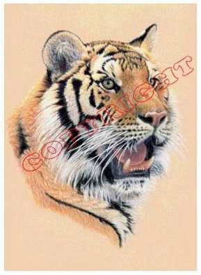 Siberian Tiger Port by Joan Sharrock Pricing Limited Edition Print image