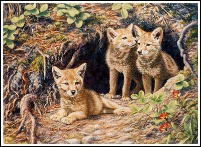 Coyote Pups by Joan Sharrock Pricing Limited Edition Print image