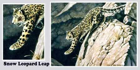 Snow Leopard Leap by Joan Sharrock Pricing Limited Edition Print image