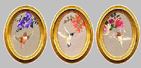 Hummingbirds Set Of 3 by Joan Sharrock Pricing Limited Edition Print image