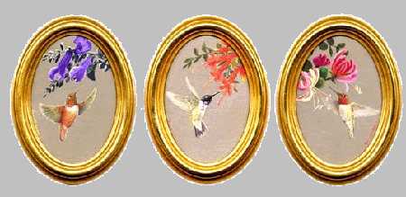 Hummingbirds Set Of 3 by Joan Sharrock Pricing Limited Edition Print image