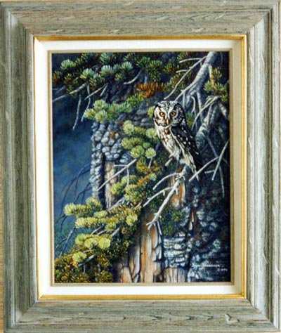 Perched In The Fir by Joan Sharrock Pricing Limited Edition Print image