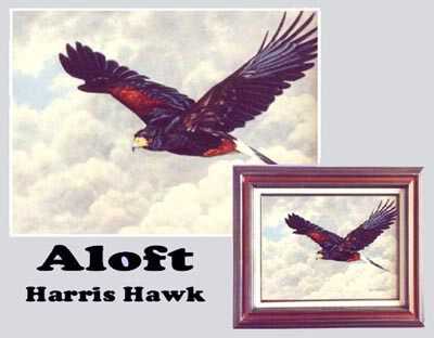 Aloft by Joan Sharrock Pricing Limited Edition Print image