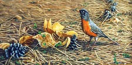 Fall Robin by Joan Sharrock Pricing Limited Edition Print image