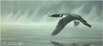 Misty Flight Loon by Wilhelm Goebel Pricing Limited Edition Print image