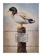 Federal Duck Stump by Will Bullas Pricing Limited Edition Print image