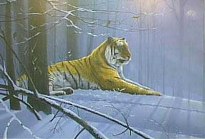 Siberian Majesty by Rod J Tribiger Pricing Limited Edition Print image