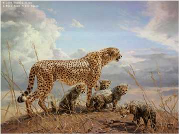 First Outing Cheet by Donald Grant Pricing Limited Edition Print image