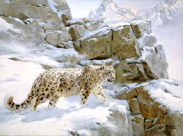 Snow Leopard by Donald Grant Pricing Limited Edition Print image