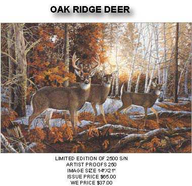 Oak Ridge Deer by Donald Blakney Pricing Limited Edition Print image
