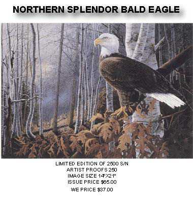 Northern Splend Eagle by Donald Blakney Pricing Limited Edition Print image