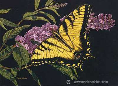 Tiger Swallowtail by Martiena Richter Pricing Limited Edition Print image