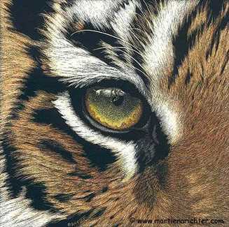 Prey Sight Tiger by Martiena Richter Pricing Limited Edition Print image