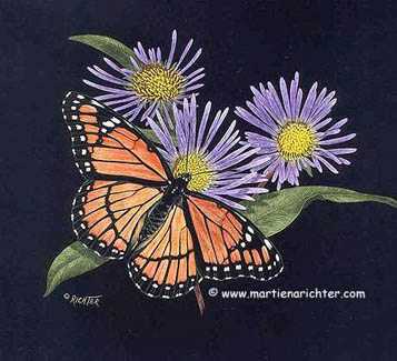 Viceroy Asters by Martiena Richter Pricing Limited Edition Print image