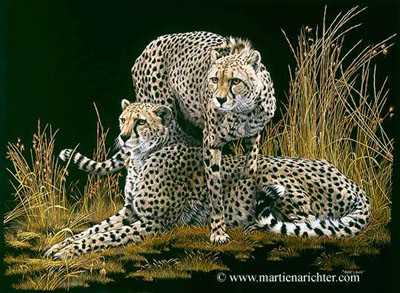 Serengeti Alert by Martiena Richter Pricing Limited Edition Print image