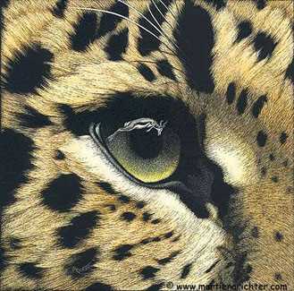 Prey Sight Snow Lprd by Martiena Richter Pricing Limited Edition Print image