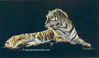 Sunlit Tiger by Martiena Richter Pricing Limited Edition Print image