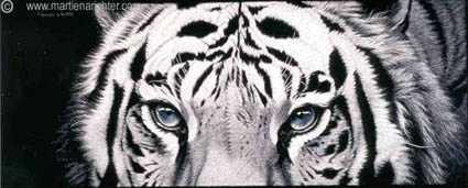 Bengal Blue Eyes by Martiena Richter Pricing Limited Edition Print image