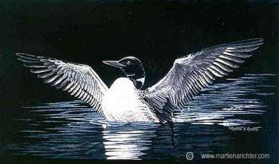Loon Display by Martiena Richter Pricing Limited Edition Print image