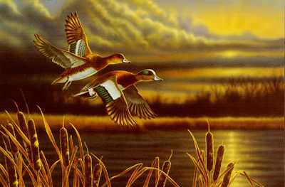 Widgeon Out Front by Richard Clifton Pricing Limited Edition Print image