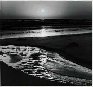 Birds On Beach Pstrun by Ansel Adams Pricing Limited Edition Print image