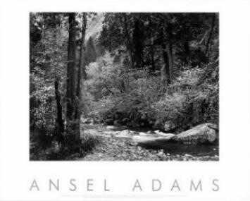 Tenaya Creek Pstrun by Ansel Adams Pricing Limited Edition Print image