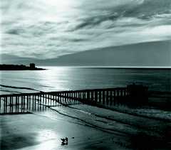 Scripps Pier Pstrun by Ansel Adams Pricing Limited Edition Print image