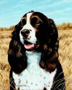 Field Compan Springer by Stephen Hamrick Pricing Limited Edition Print image