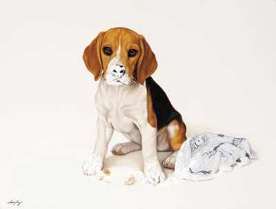 Beagle by Brett Longley Pricing Limited Edition Print image