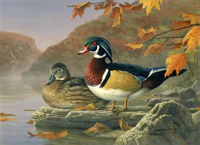 Colors Of Fall by Jim Hautman Pricing Limited Edition Print image