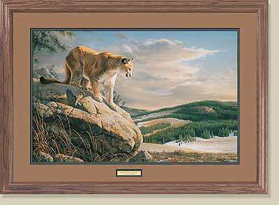 Vantage Point Coug by Jim Hautman Pricing Limited Edition Print image